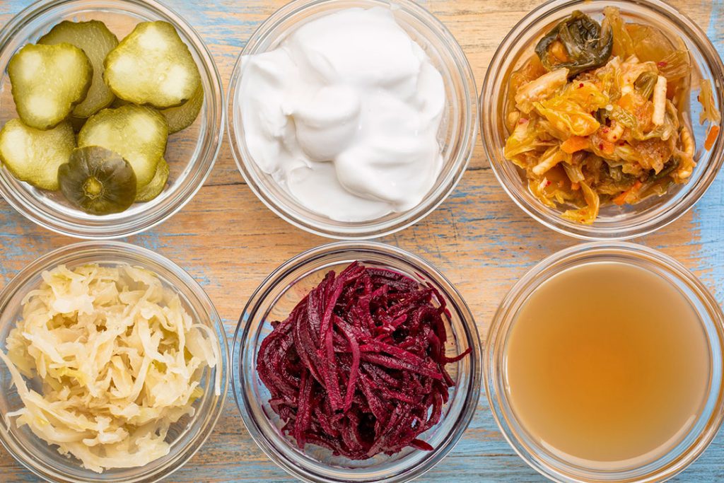Probioticos importantes en la alimetación